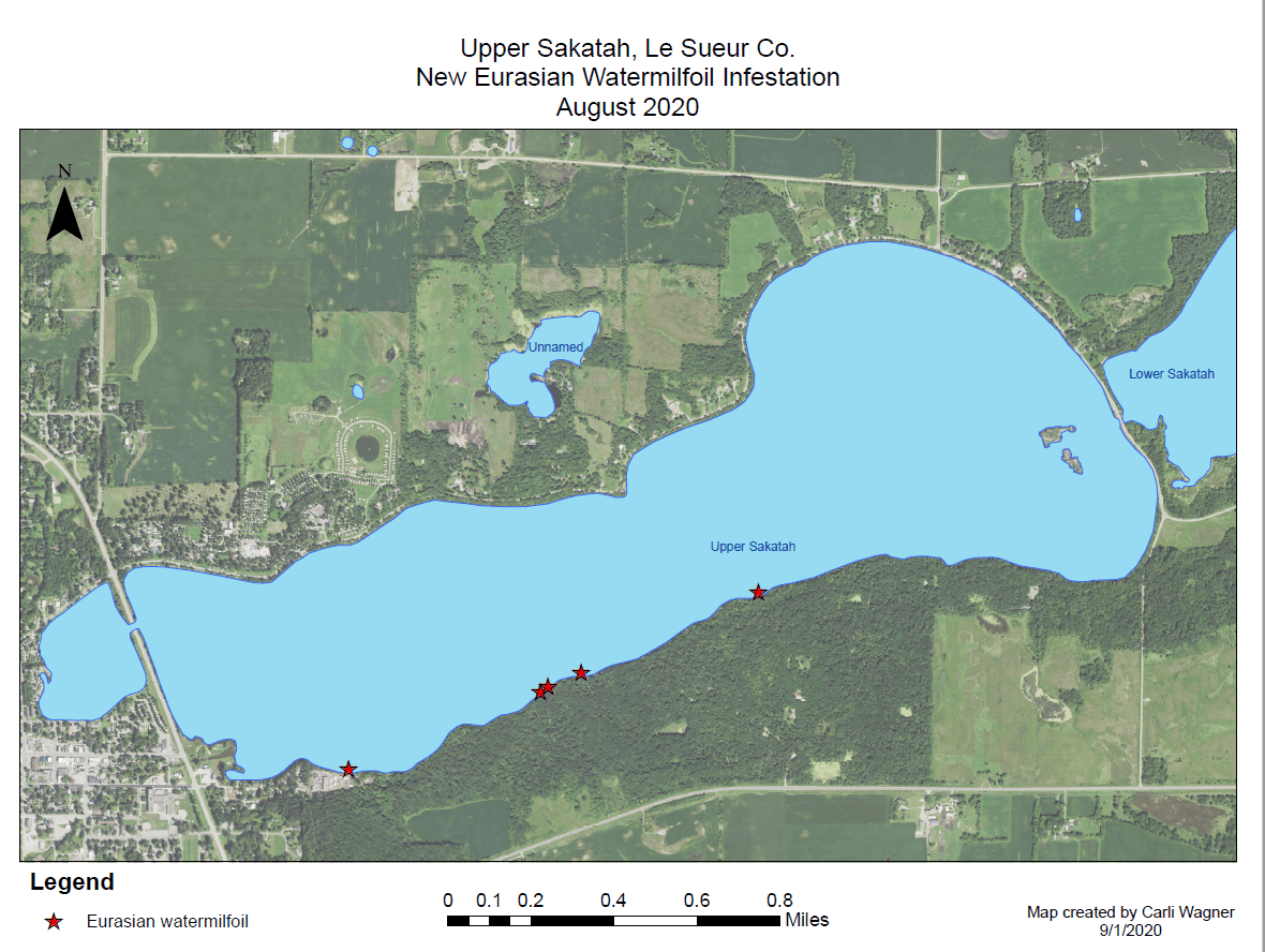 New Infestation EWM Upper Sakatah Lake