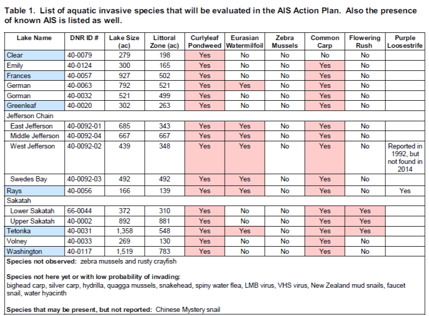 Summary Table of AIS in Action Plans