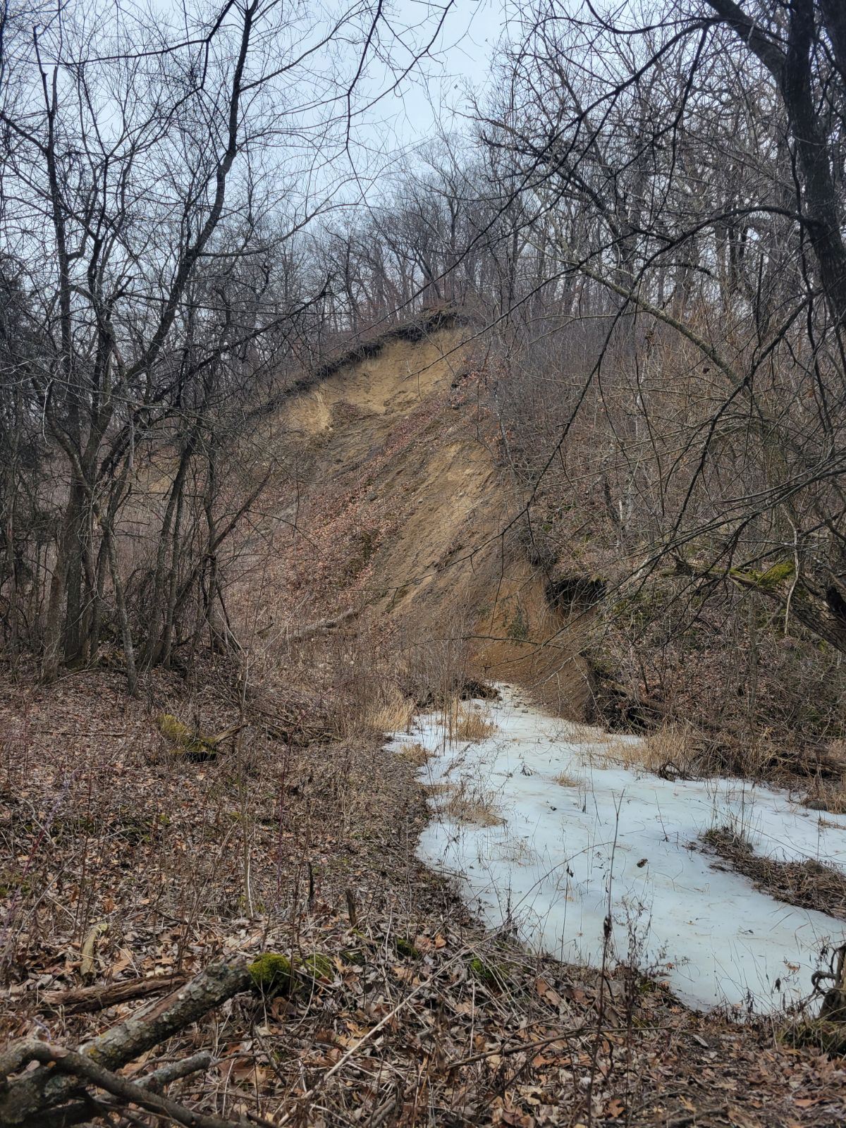 In/Near Channel Erosion within Unnamed Creek 761
